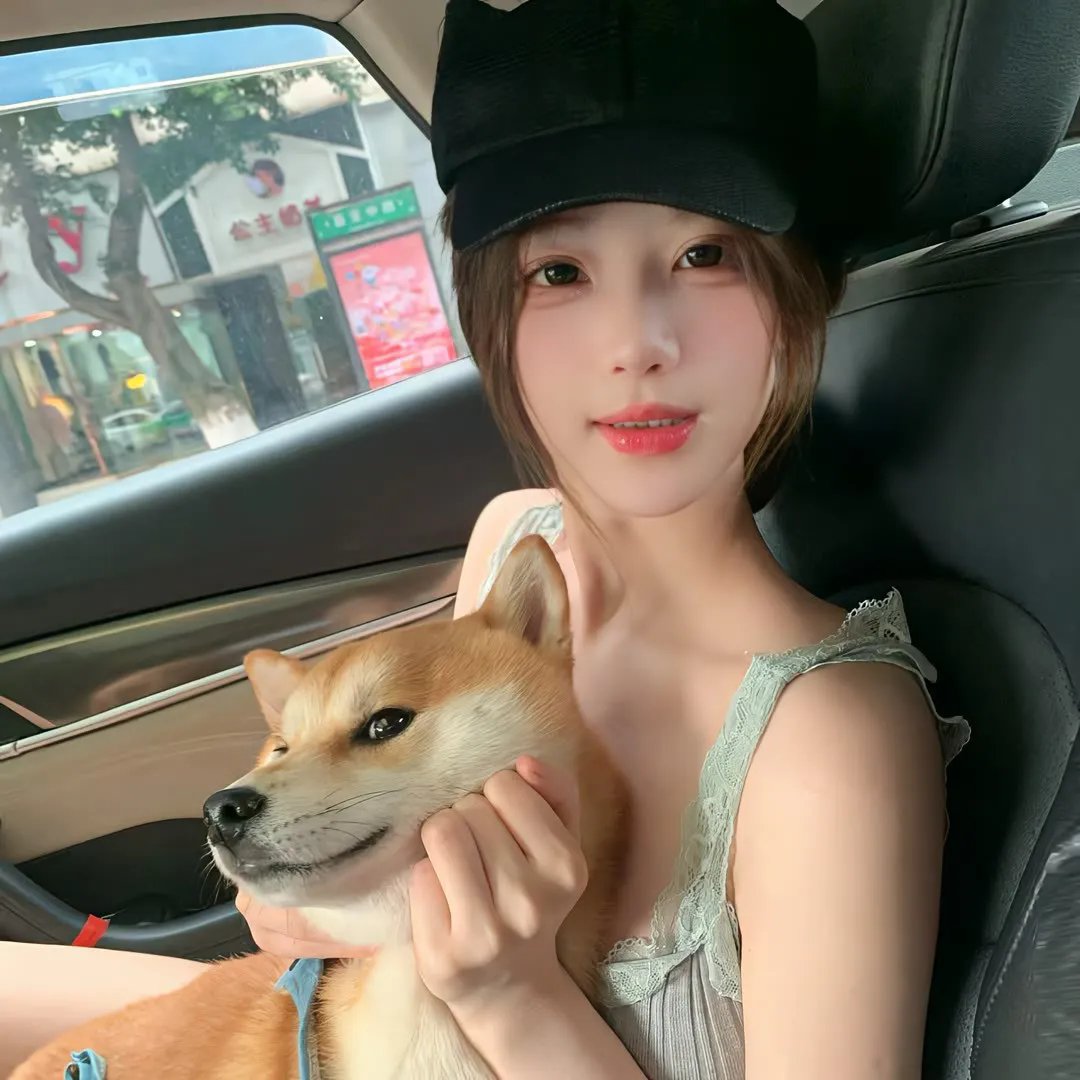 女贼金丝猫